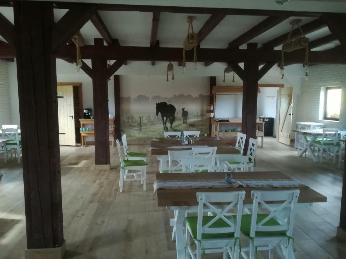 Pensjonat Przy Stajni Kierzkowo  Exterior foto