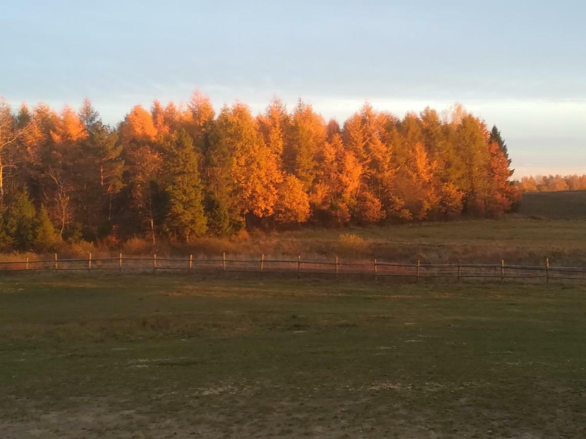 Pensjonat Przy Stajni Kierzkowo  Exterior foto